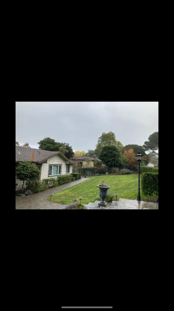 Reliable yard cleanup service in Burlingame, CA by Lee's Gardening Service