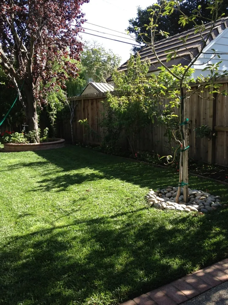 Professional yard cleanup service experts serving Burlingame, CA - Lee's Gardening Service