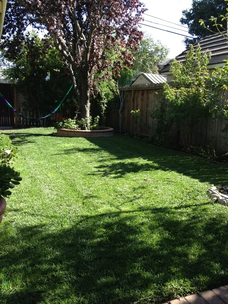 Expert landscape installation near you in Burlingame, CA by Lee's Gardening Service
