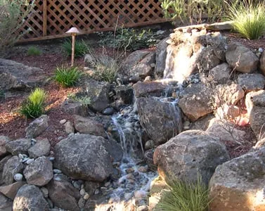 Expert lawn care service for year-round maintenance across Seattle, WA - Lee's General Landscaping and Yard Clean Up