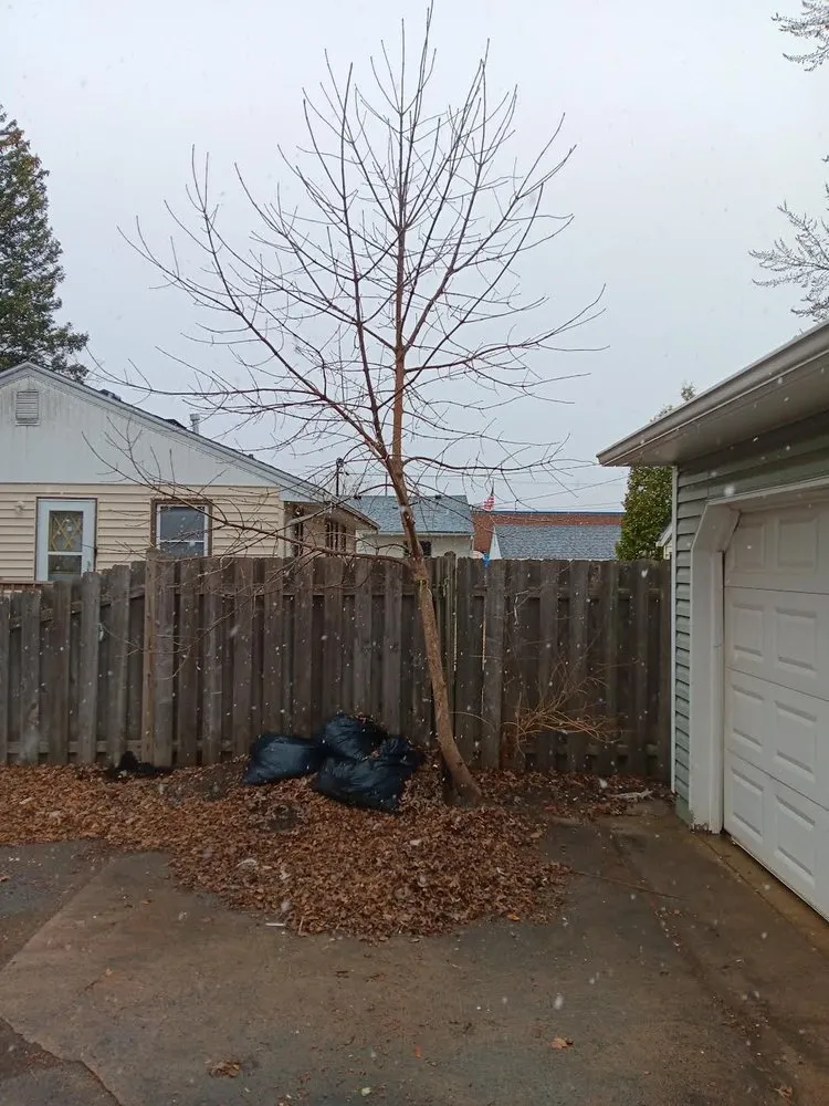 Custom lawn care service with custom design across Prior Lake, MN - Lees Labor