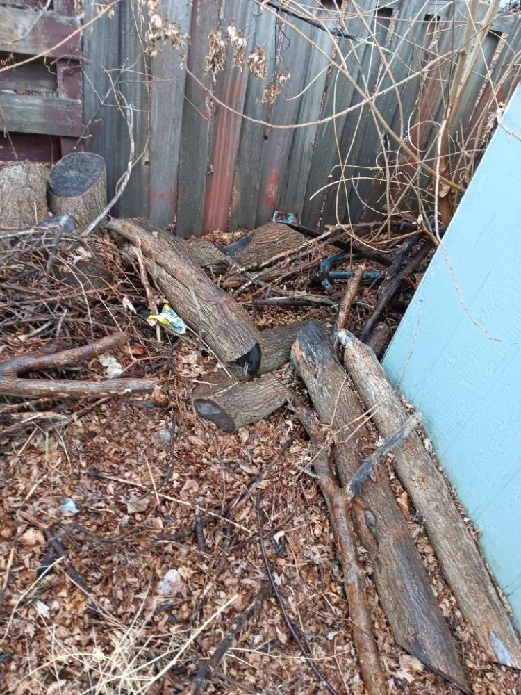 Reliable residential landscaping near you in Prior Lake, MN by Lees Labor