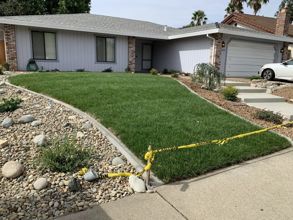 Local yard cleanup service in Elk Grove, CA by Lee's Landscape