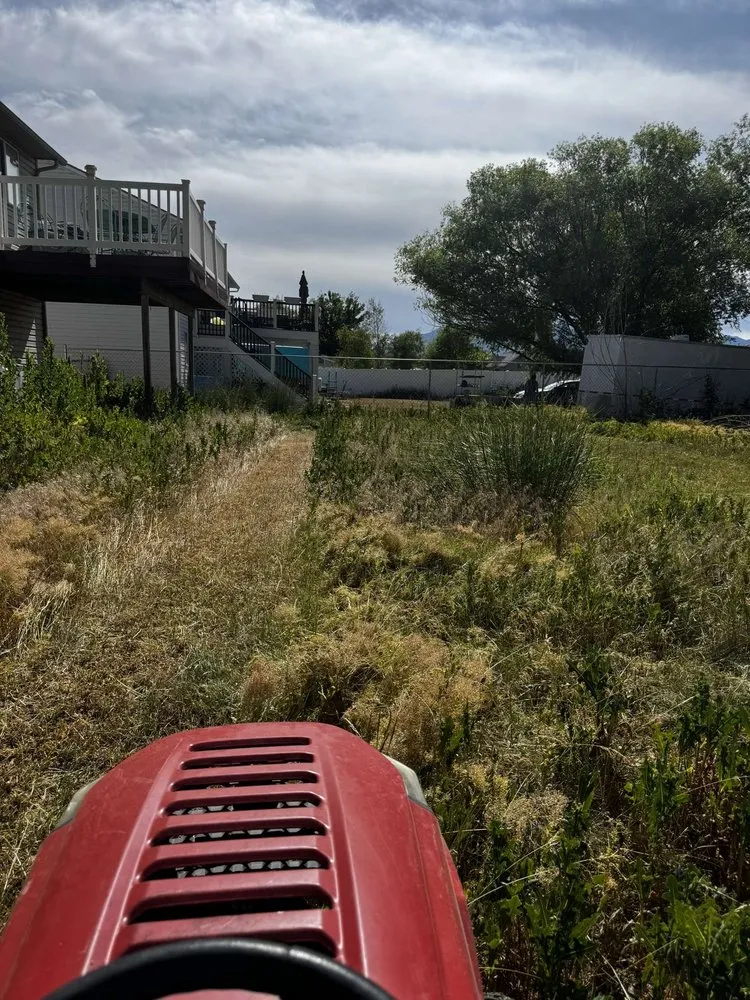 Trusted residential landscaping for year-round maintenance across Layton, UT - Lees Landscaping & Designs