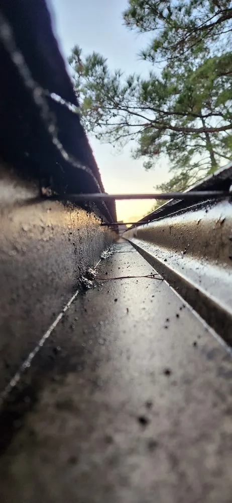 Affordable residential landscaping for residential properties in Four Oaks, NC by Lee's Landscaping & Lawn Care