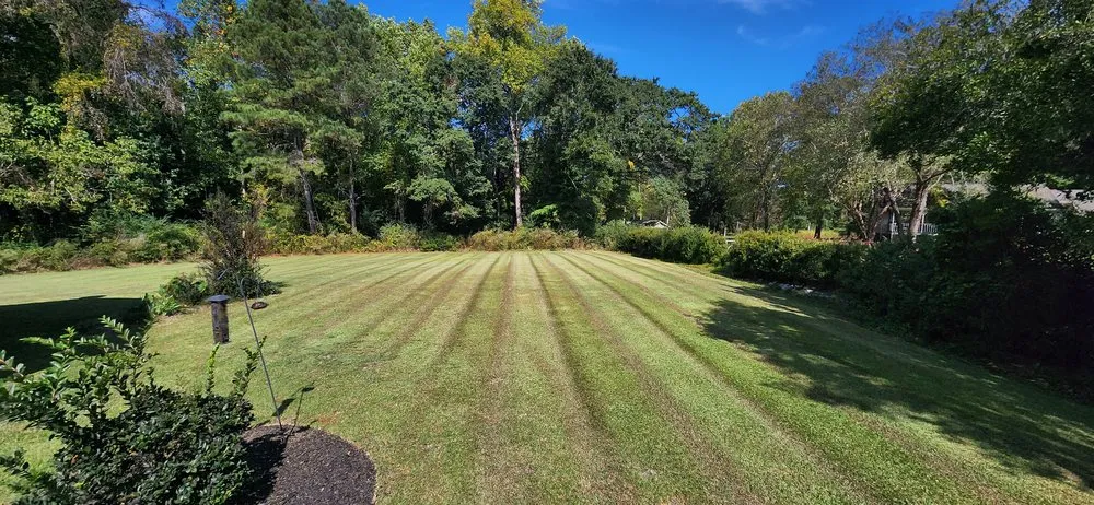 Affordable lawn care service experts serving Four Oaks, NC - Lee's Landscaping & Lawn Care