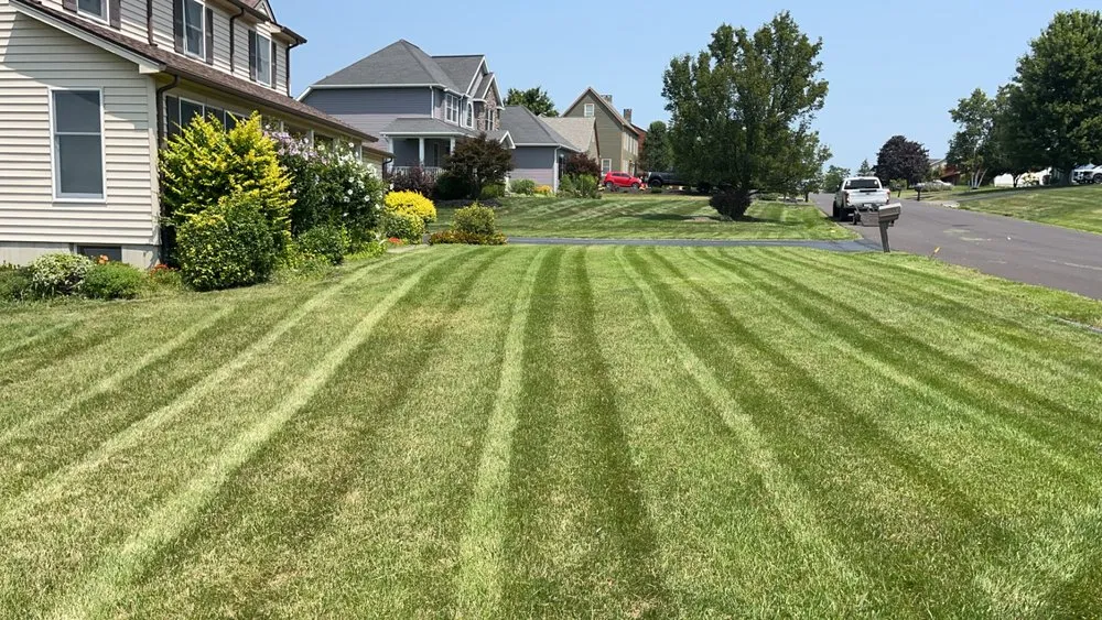 Top-rated yard cleanup service near you across Corning, NY - Lees Landscaping & Outdoor services