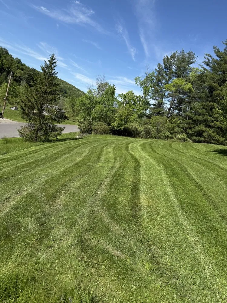 Reliable yard cleanup service for beautiful yards across Corning, NY - Lees Landscaping & Outdoor services