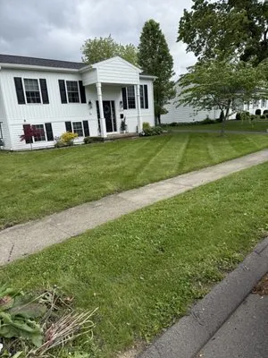 Lees Landscaping & Outdoor services