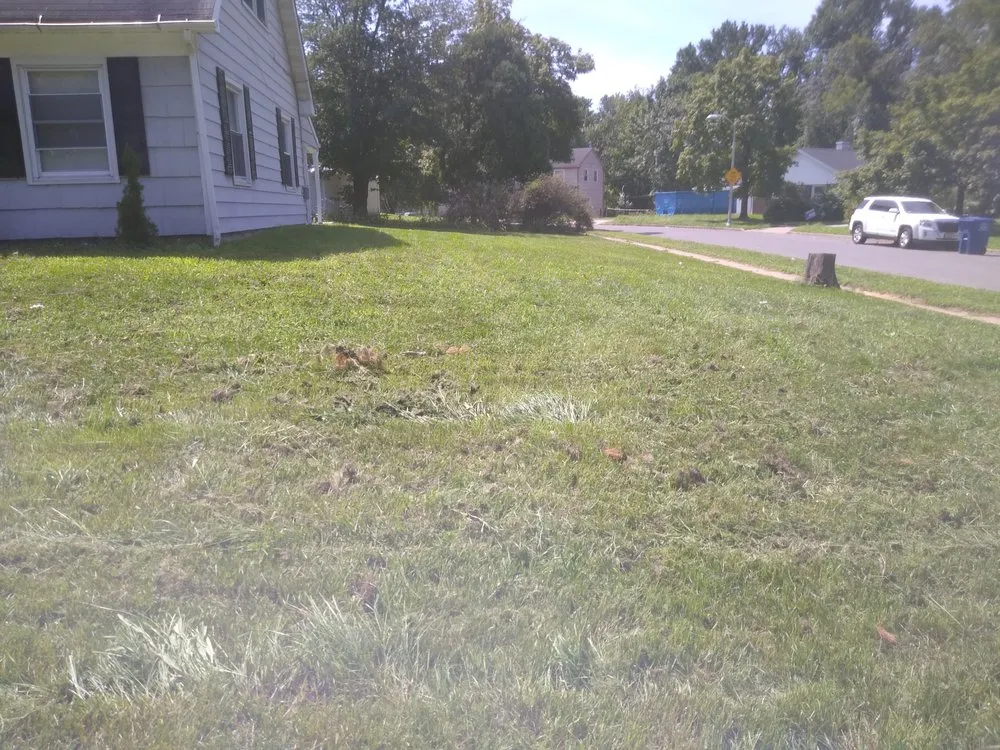 Top-rated outdoor landscaping for outdoor upgrades in Camden, NJ by Lee's Landscaping & Outdoor Solution