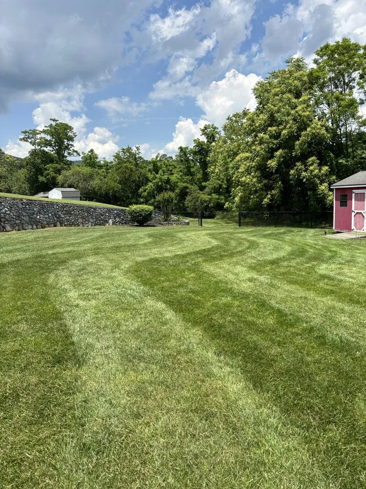Top-rated yard cleanup service in Montvale, VA - Lee’s Landscaping and Pressure Washing