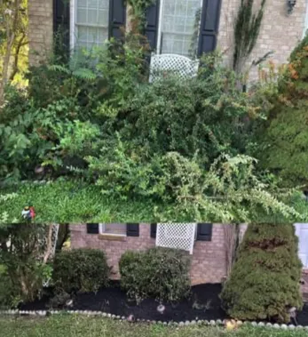 Expert landscaping services in Montvale, VA by Lee’s Landscaping and Pressure Washing