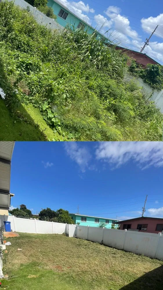 Custom lawn mowing service near you in Kaneohe, HI by Lee’s Landscaping