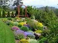 Affordable yard maintenance in Osteen, FL by Lee's Landscaping