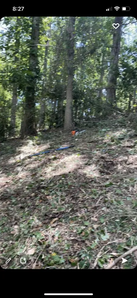 Top-rated lawn mowing service for residential properties in Fayetteville, NC by Lees Landscaping Plus