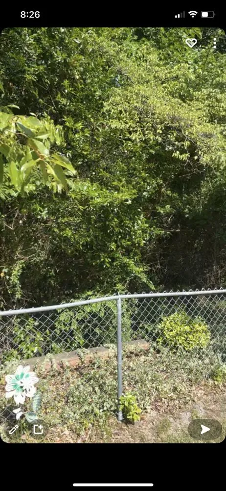 Affordable lawn care service for residential properties across Fayetteville, NC - Lees Landscaping Plus