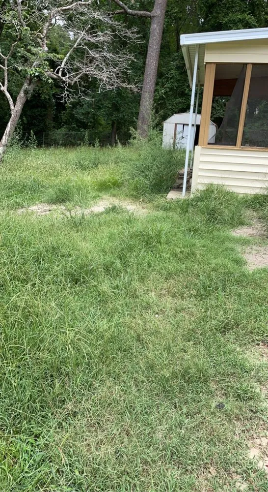 Professional yard maintenance for outdoor upgrades in Fayetteville, NC by Lees Landscaping Plus