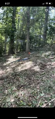 Lees Landscaping Plus Logo