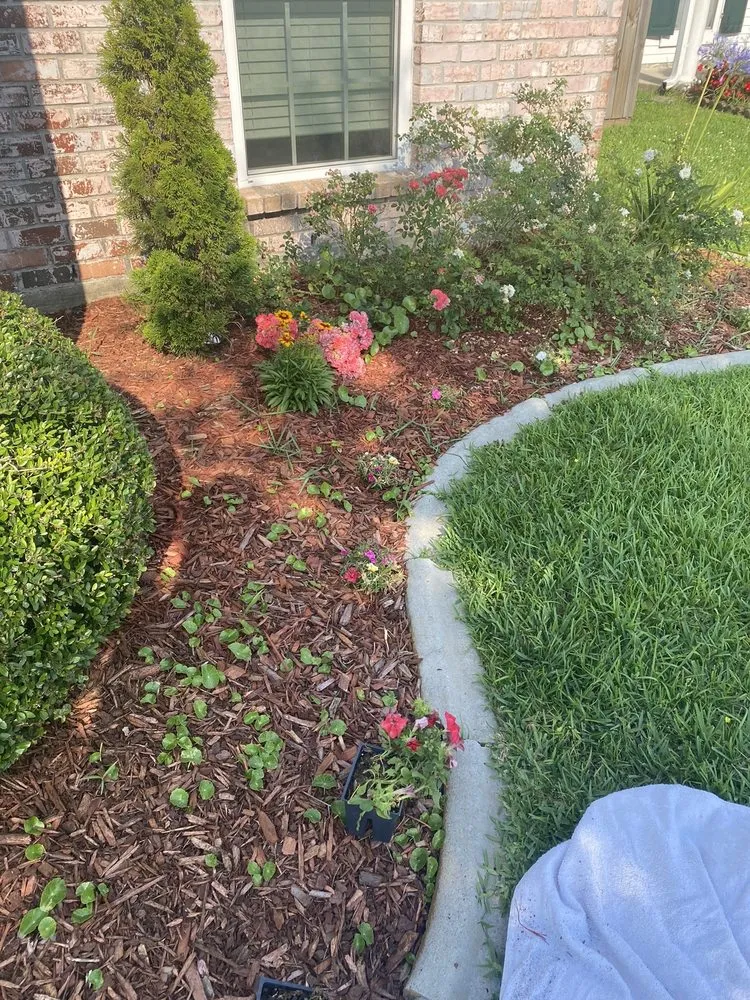 Expert residential landscaping for homes across La Place, LA - Lee's Lawn & Garden Maintenance