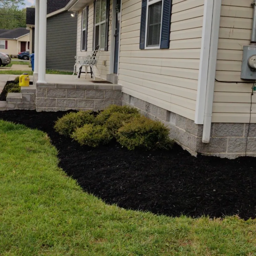 Professional residential landscaping for outdoor upgrades in Hillsboro, TN by Lees Lawn and Landscape