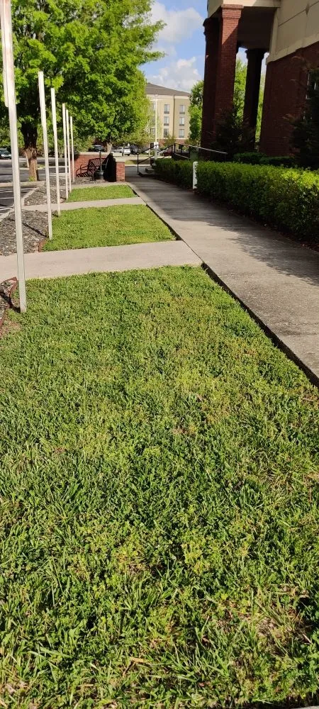Top-rated lawn mowing service for outdoor upgrades across Hillsboro, TN - Lees Lawn and Landscape