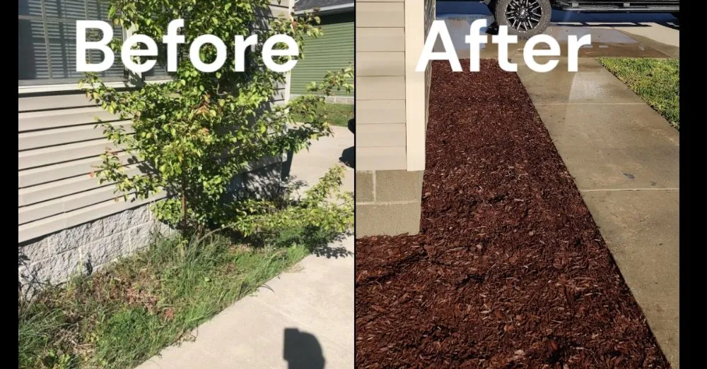 Affordable residential landscaping experts serving Hillsboro, TN - Lees Lawn and Landscape