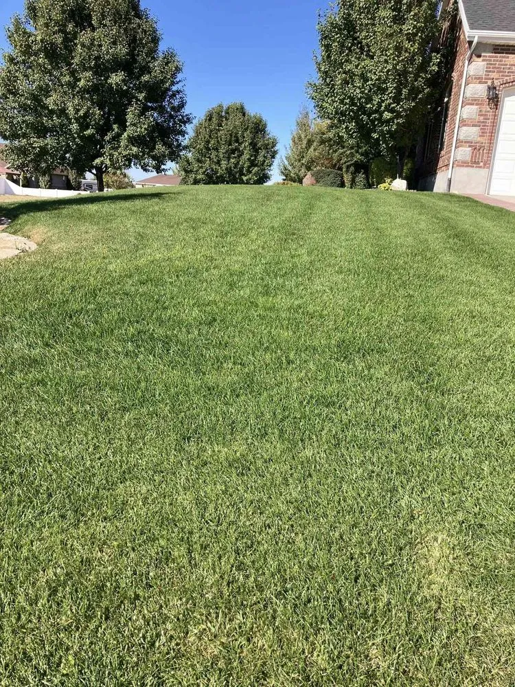 Expert residential landscaping experts serving Nephi, UT - Lee's Lawn Care and Maintenance