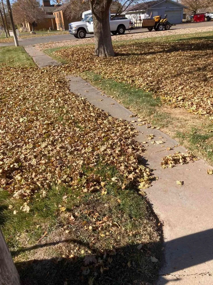 Top-rated garden landscaping for beautiful yards across Nephi, UT - Lee's Lawn Care and Maintenance