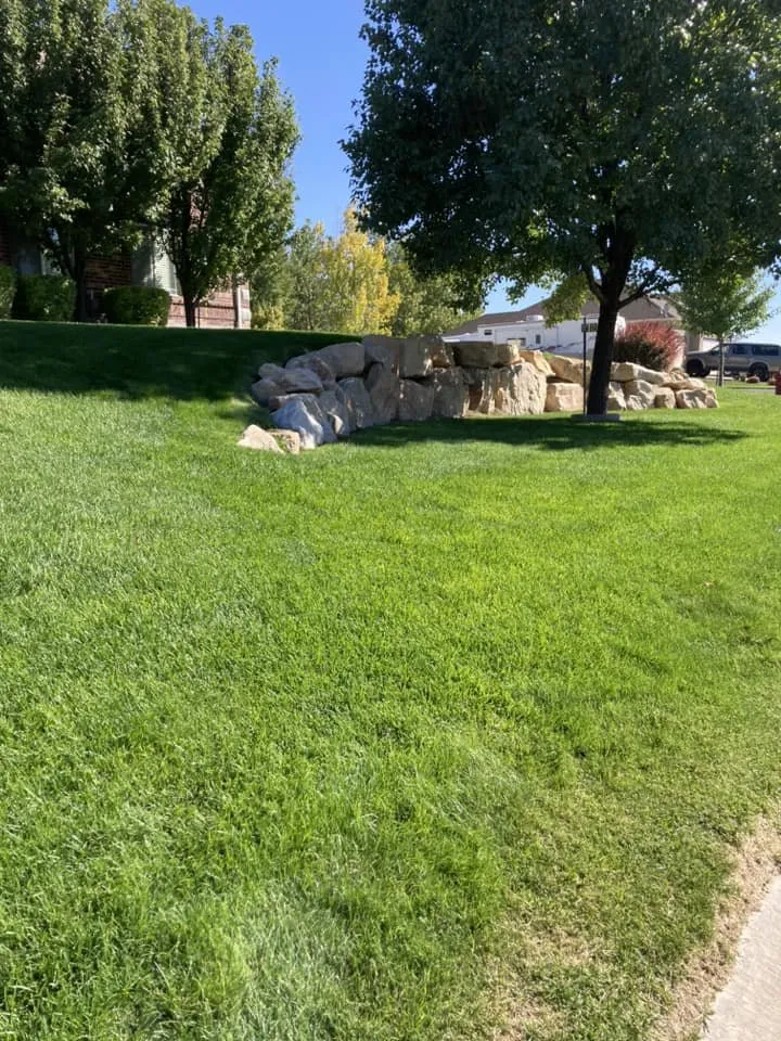 Affordable lawn care service in Nephi, UT - Lee's Lawn Care and Maintenance
