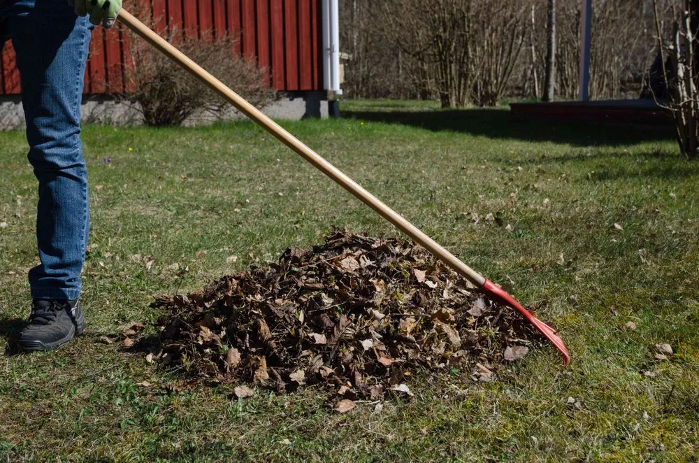 Reliable landscape design for outdoor upgrades across Nephi, UT - Lee's Lawn Care and Maintenance