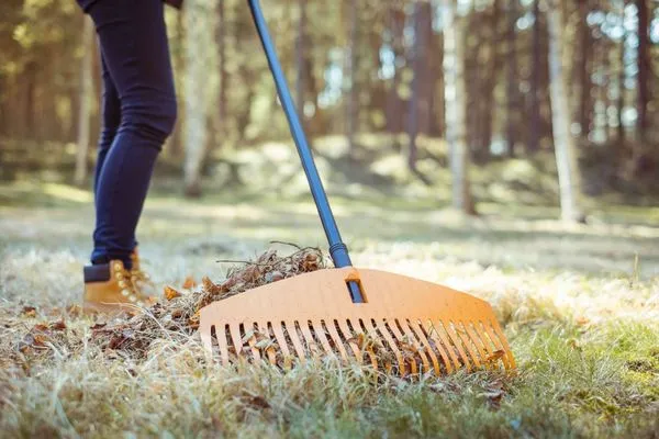 Lee's Lawn Care and Maintenance