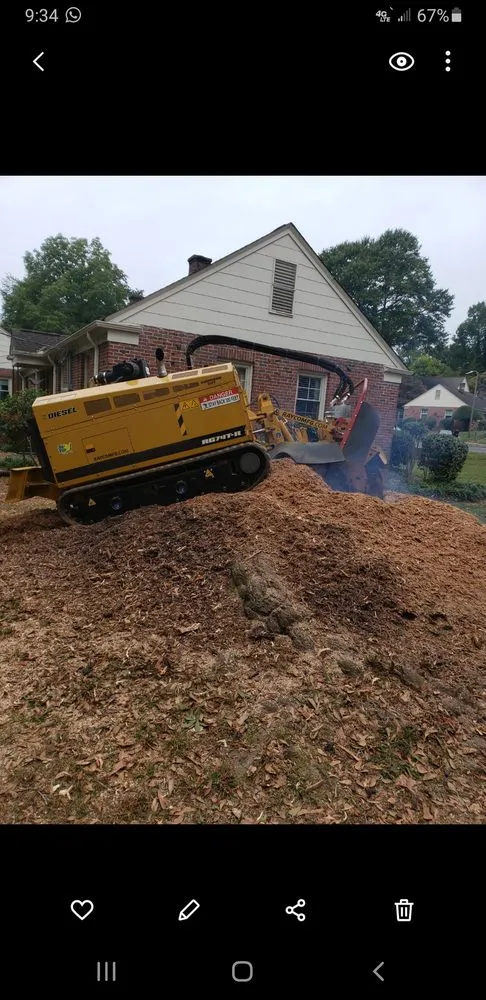 Affordable yard cleanup service in Anderson, SC - Lee's Lawn Care