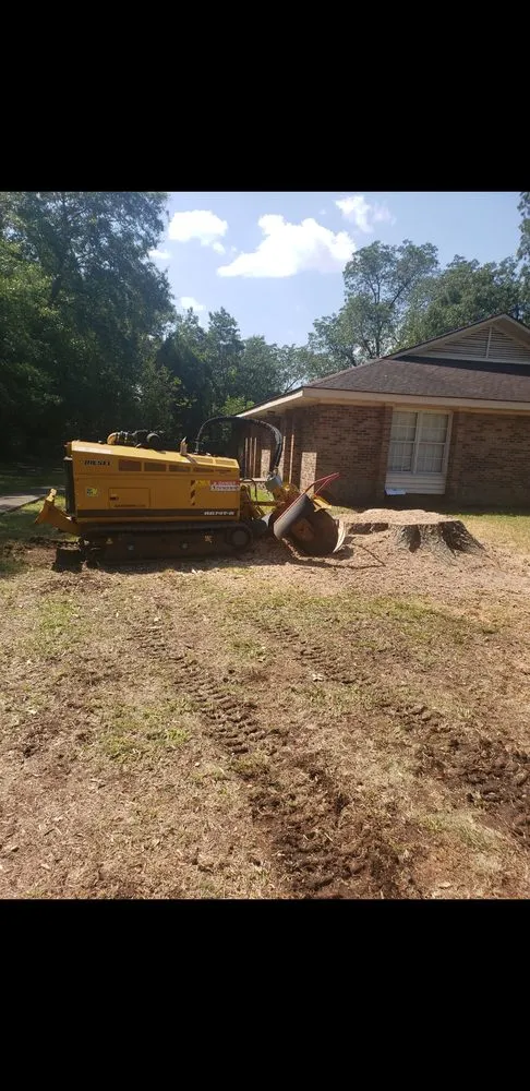 Local landscape installation experts serving Anderson, SC - Lee's Lawn Care