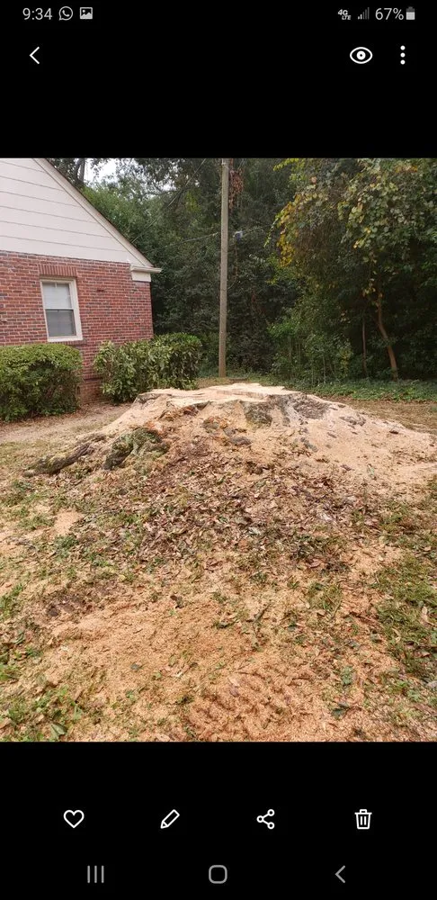 Custom yard cleanup service in Anderson, SC - Lee's Lawn Care