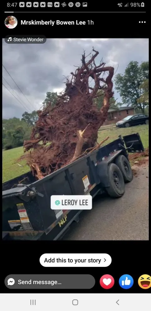 Affordable garden landscaping for homes in Anderson, SC by Lee's Lawn Care