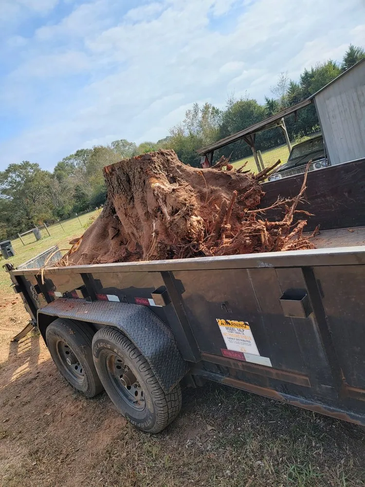 Top-rated garden landscaping for residential properties across Anderson, SC - Lee's Lawn Care