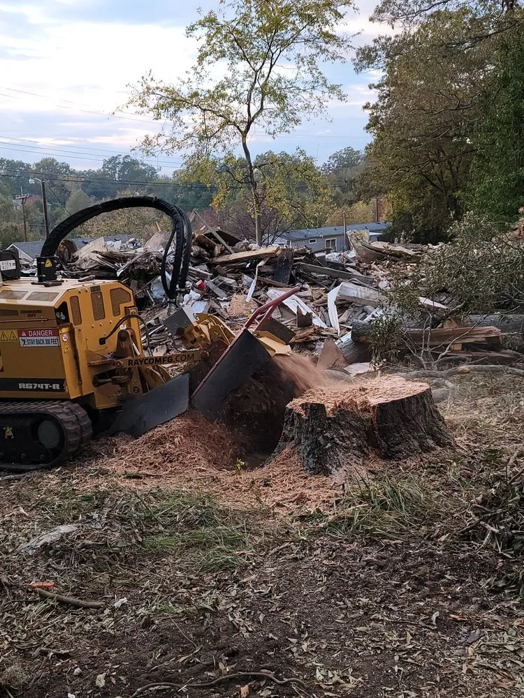 Professional yard cleanup service for beautiful yards across Anderson, SC - Lee's Lawn Care