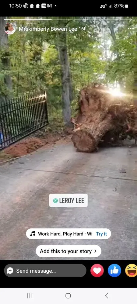 Expert lawn care service in Anderson, SC by Lee's Lawn Care