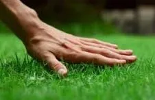 Local residential landscaping for outdoor upgrades across Beggs, OK - Lee's Lawn Care