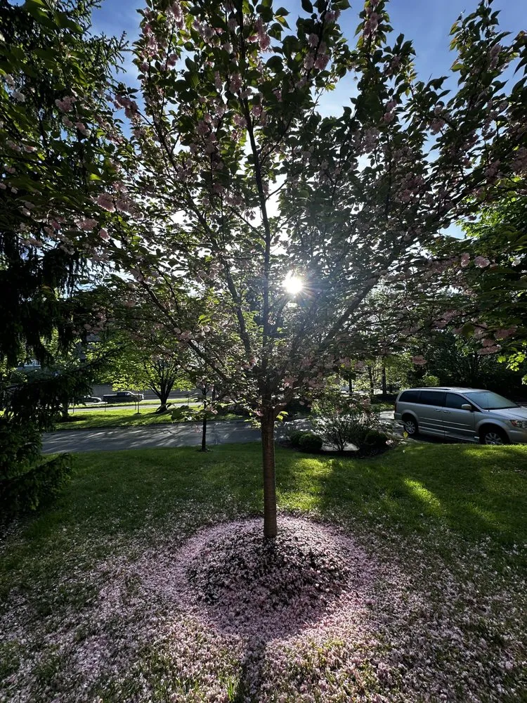 Custom garden landscaping in Florissant, MO - Lees Lawn Care