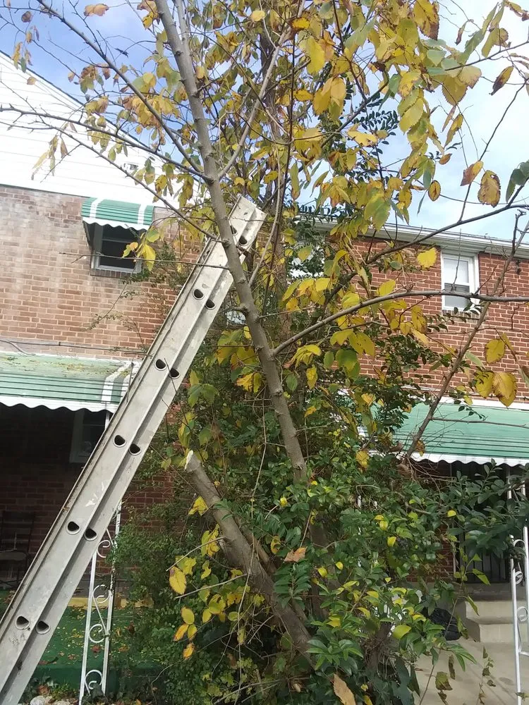 Affordable garden landscaping experts serving Baltimore, MD - Lee's Lawn Care Hauling and Home Improvement Services