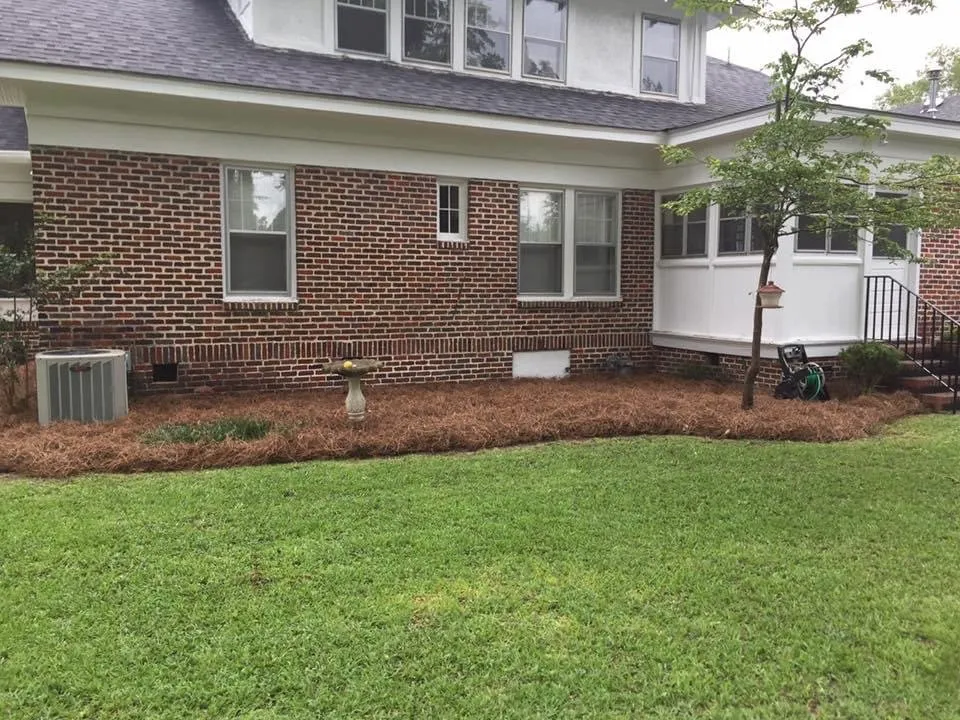 Affordable yard cleanup service in Sumter, SC - Lees Lawn Care