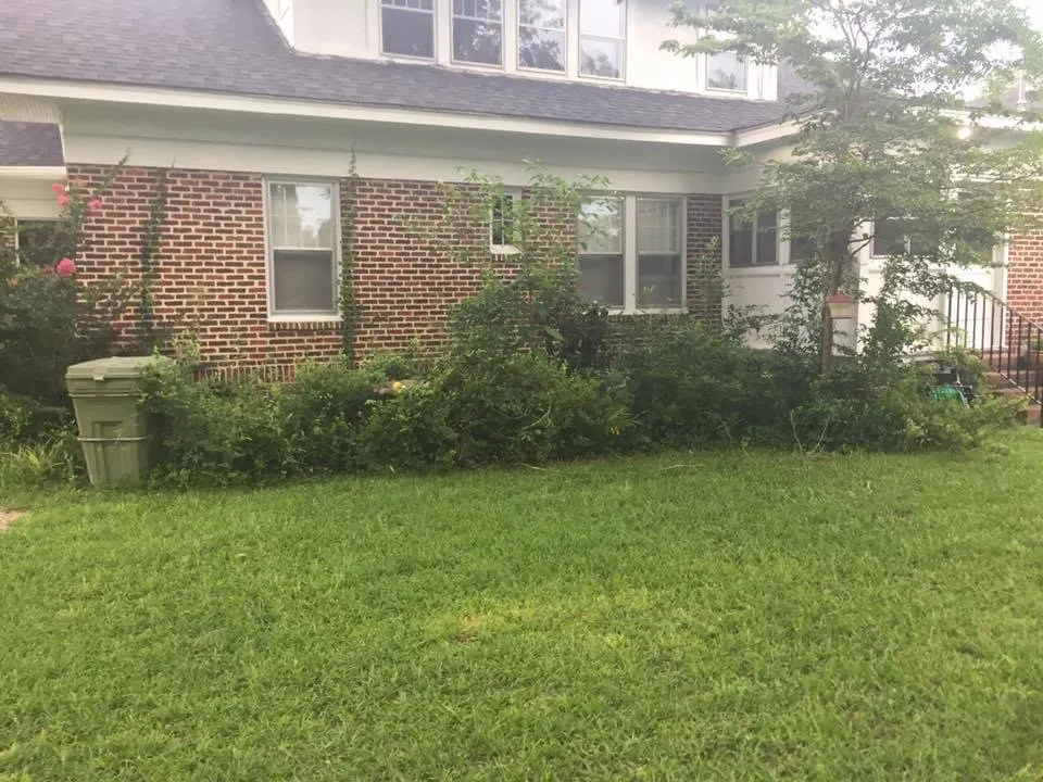 Custom outdoor landscaping near you across Sumter, SC - Lees Lawn Care