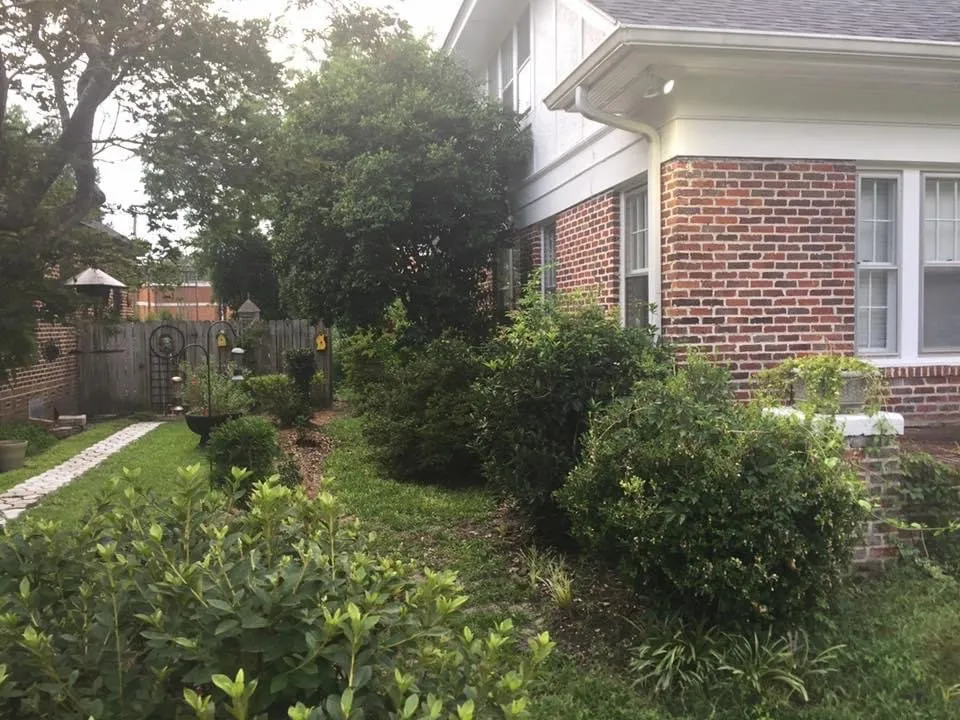 Affordable yard maintenance in Sumter, SC by Lees Lawn Care