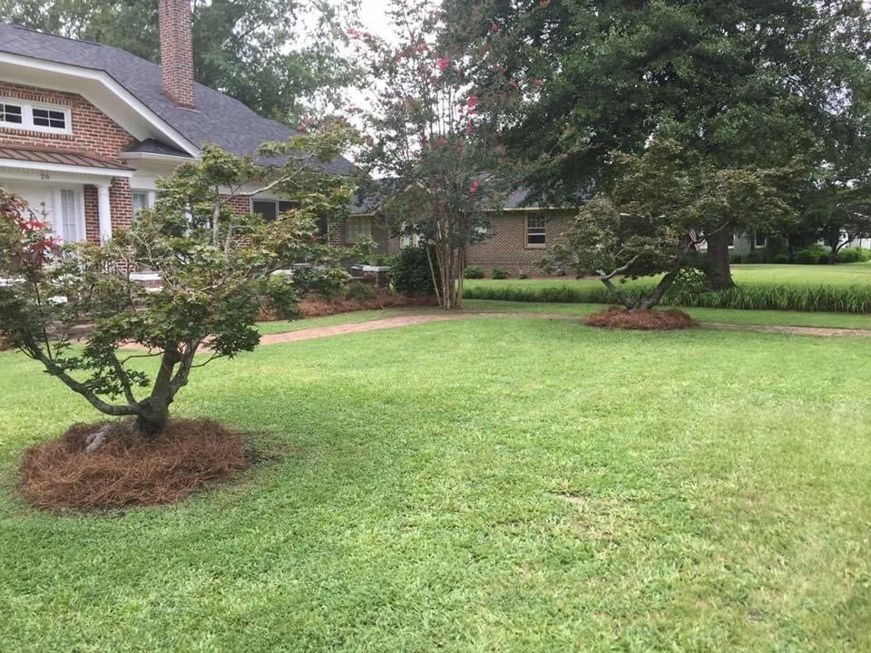 Professional lawn care service in Sumter, SC by Lees Lawn Care
