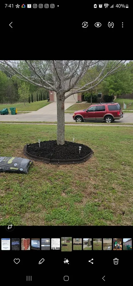 Affordable landscaping services for beautiful yards across Dallas, TX - Lee's Lawn