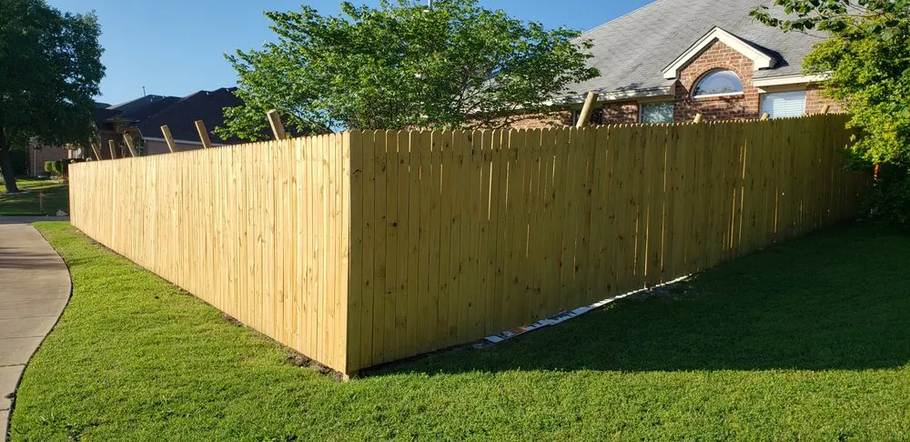 Affordable yard cleanup service in Dallas, TX - Lee's Lawn