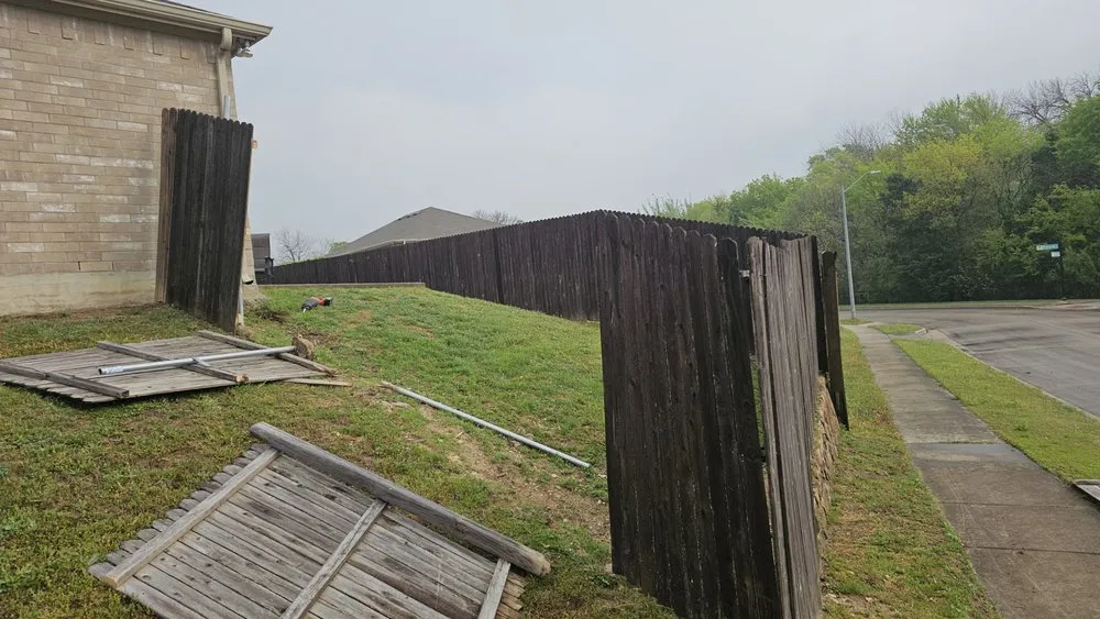 Professional yard cleanup service experts serving Dallas, TX - Lee's Lawn