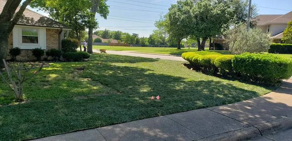 Trusted lawn mowing service in Dallas, TX by Lee's Lawn