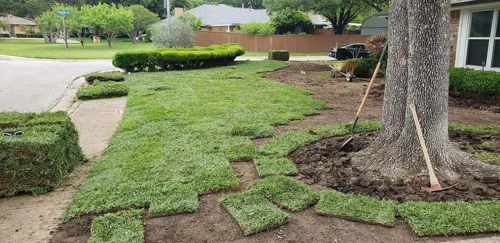 Expert residential landscaping for outdoor upgrades across Dallas, TX - Lee's Lawn